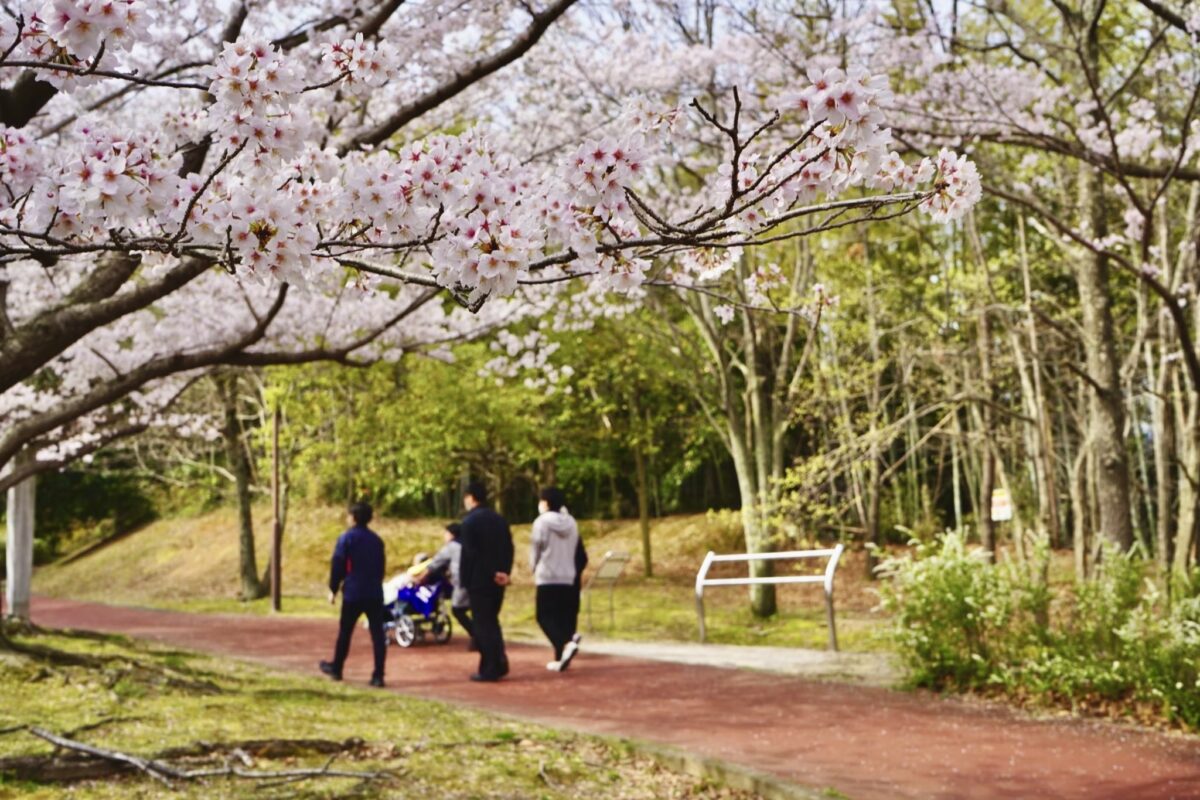 3年前にお看取りで関わらせていただいたご主人との、偶然の再会